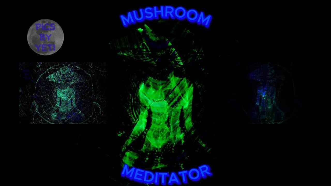 MUSHROOM MEDITATOR