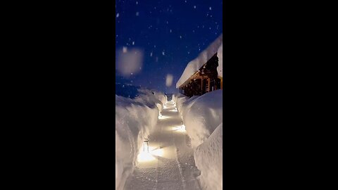 "The Heavy Snow is Flying At The Blue Moment Scenery Winter Follow For More Videos Virelreels"...!!