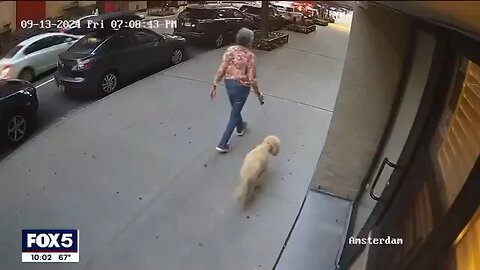 New York is a dumpster fire