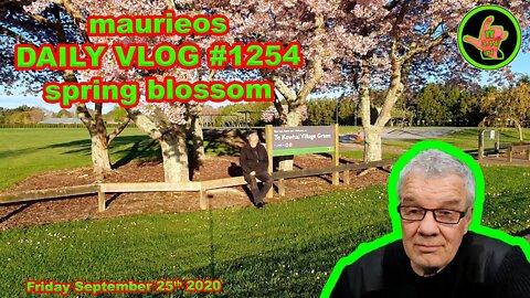 maurieos DAILY VLOG #1254 spring blossom