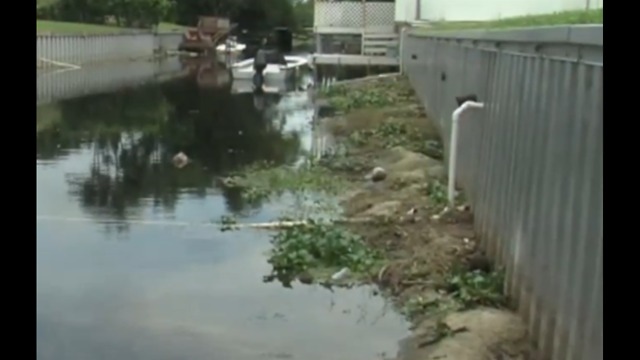 Debris gathering in Boynton Beach low canals
