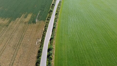 RAW HD Free to use video download link in discription- Farming land
