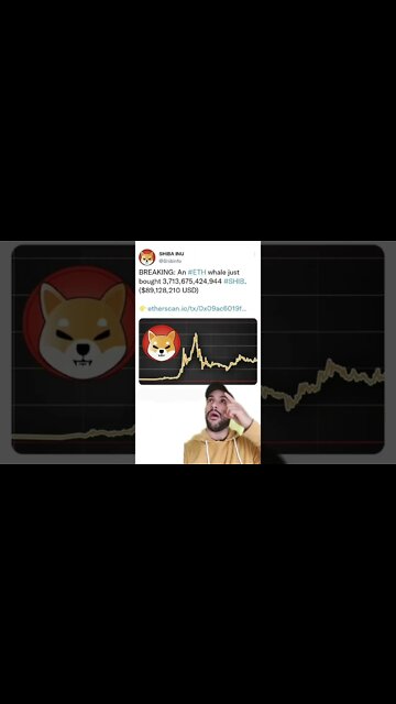 SHIBA INU COIN 🤯🧠😎 Crypto