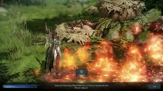 Lost Ark MMORPG Nest Best Thing