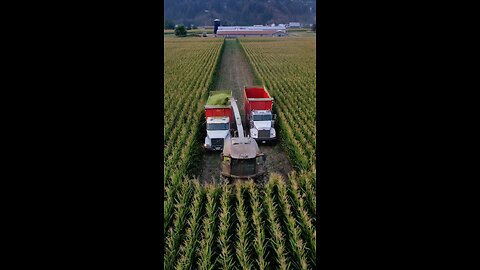 Smart farming
