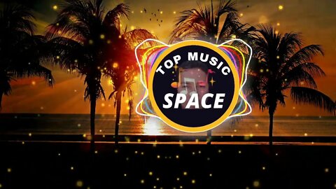 🎧 Tropical Night – Roa (No Copyright Music) 🎵
