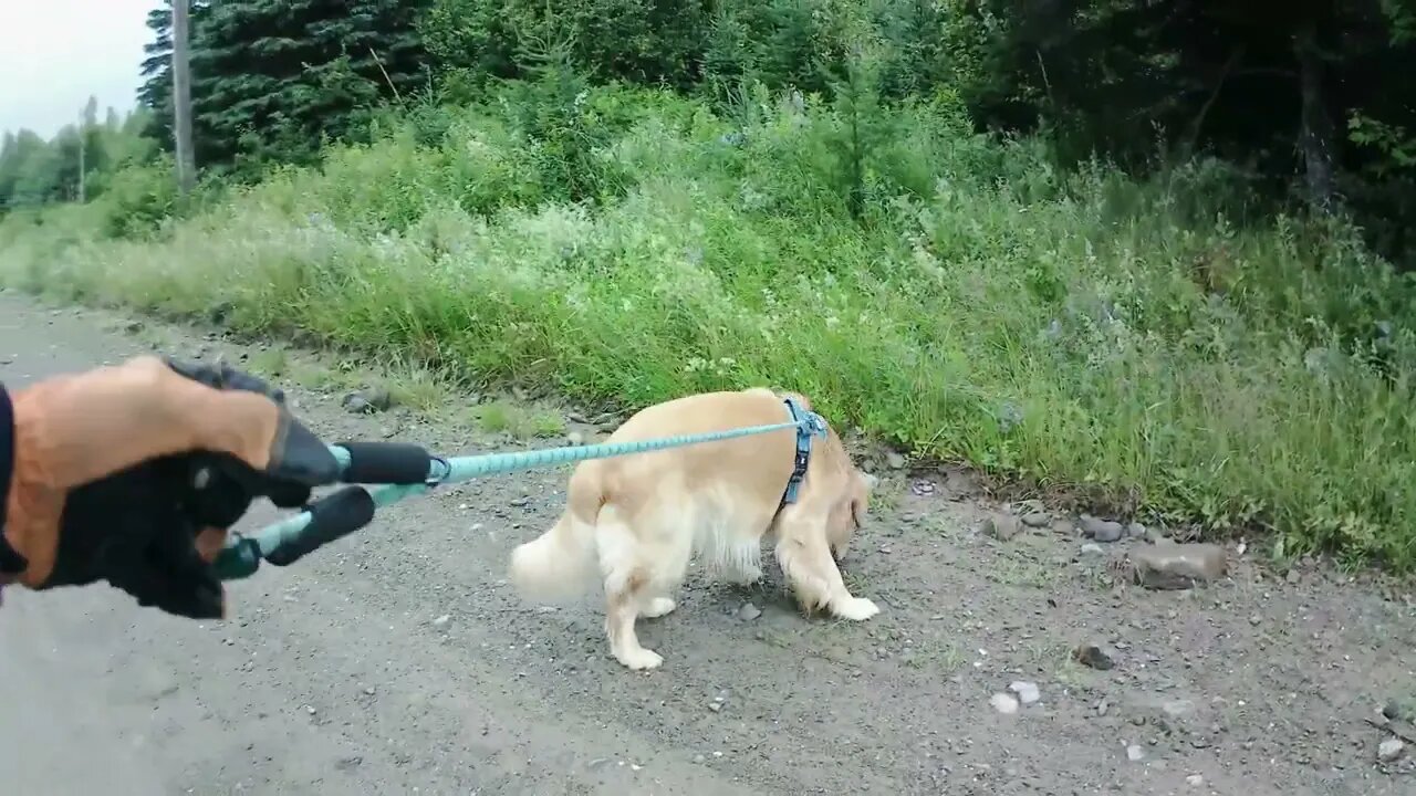 July 15th, 67º late start due to rain earlier.