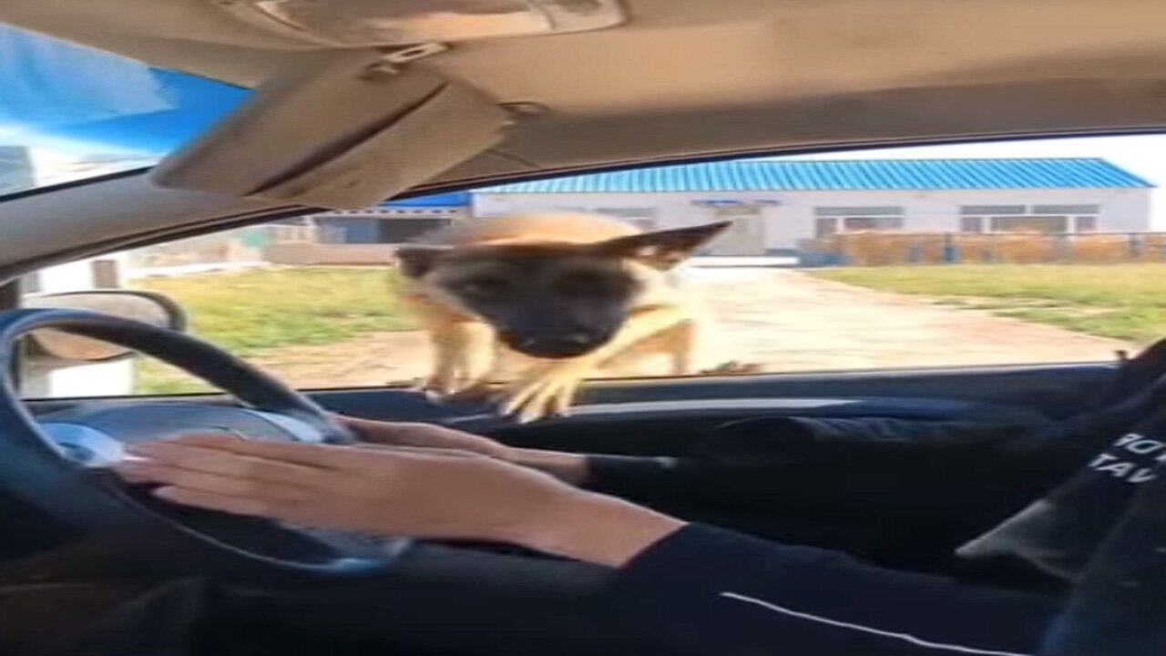 TRY not to LAUGH
