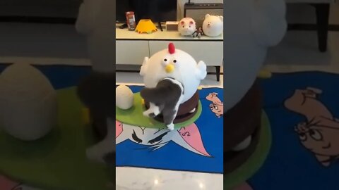 Never give up! ❤️😂😂