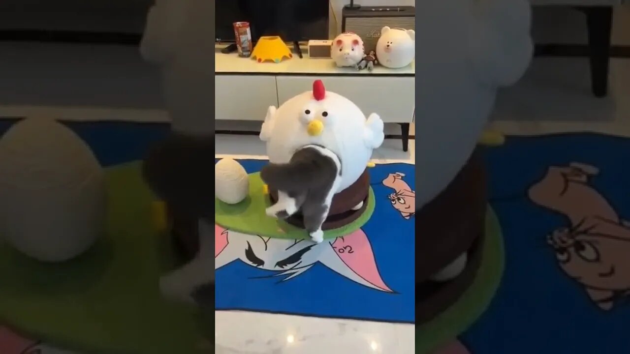 Never give up! ❤️😂😂