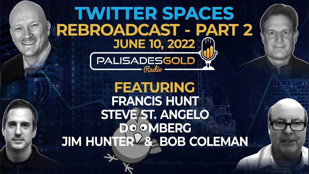 Palisades Twitter Spaces - Part Two - Steve St. Angelo, Doomberg & Francis Hunt - June 10 2022