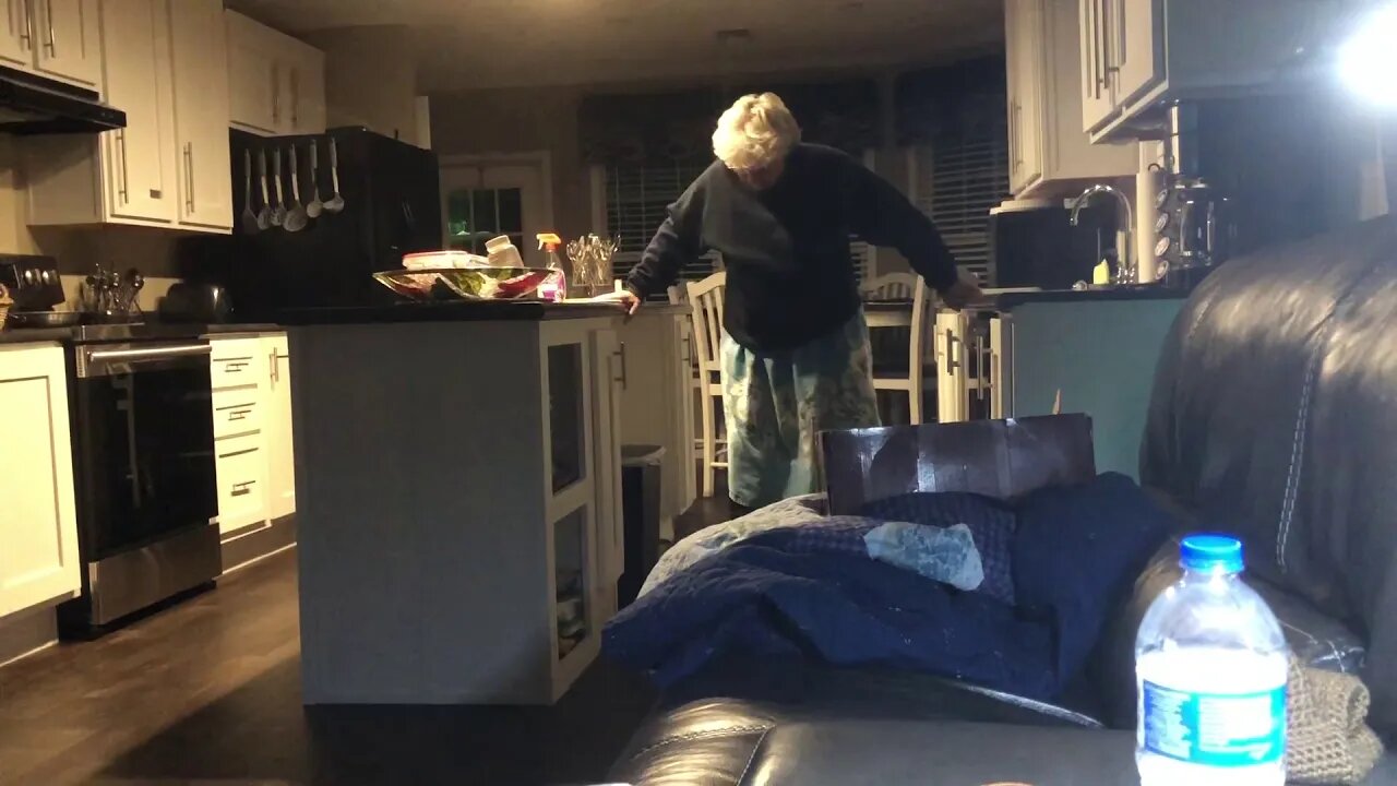 Cat update/bag lady chic/runaway buggy