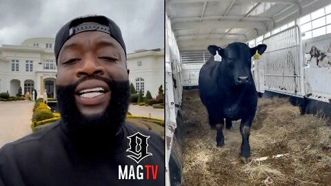 Rick Ross Goes Crazy After Getting His 1st Steer Delivered To Promiseland! 🐂