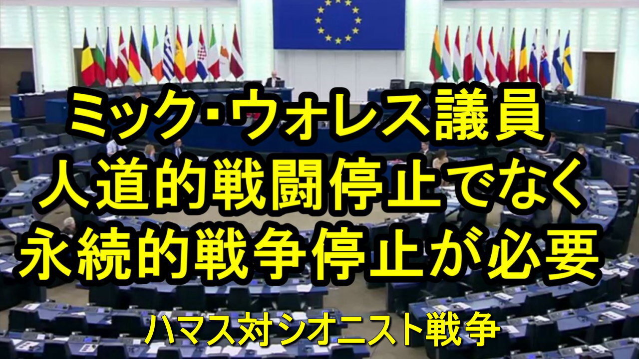 ハマス対シオニスト戦争。ミック・ウォレスＥＵ議会議員は、永続的戦闘停止が必要と述べます。