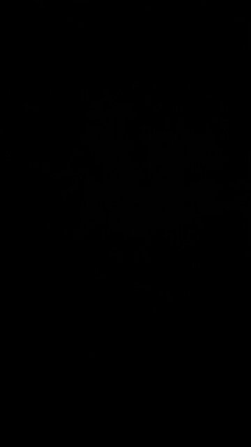 Not able to be hired