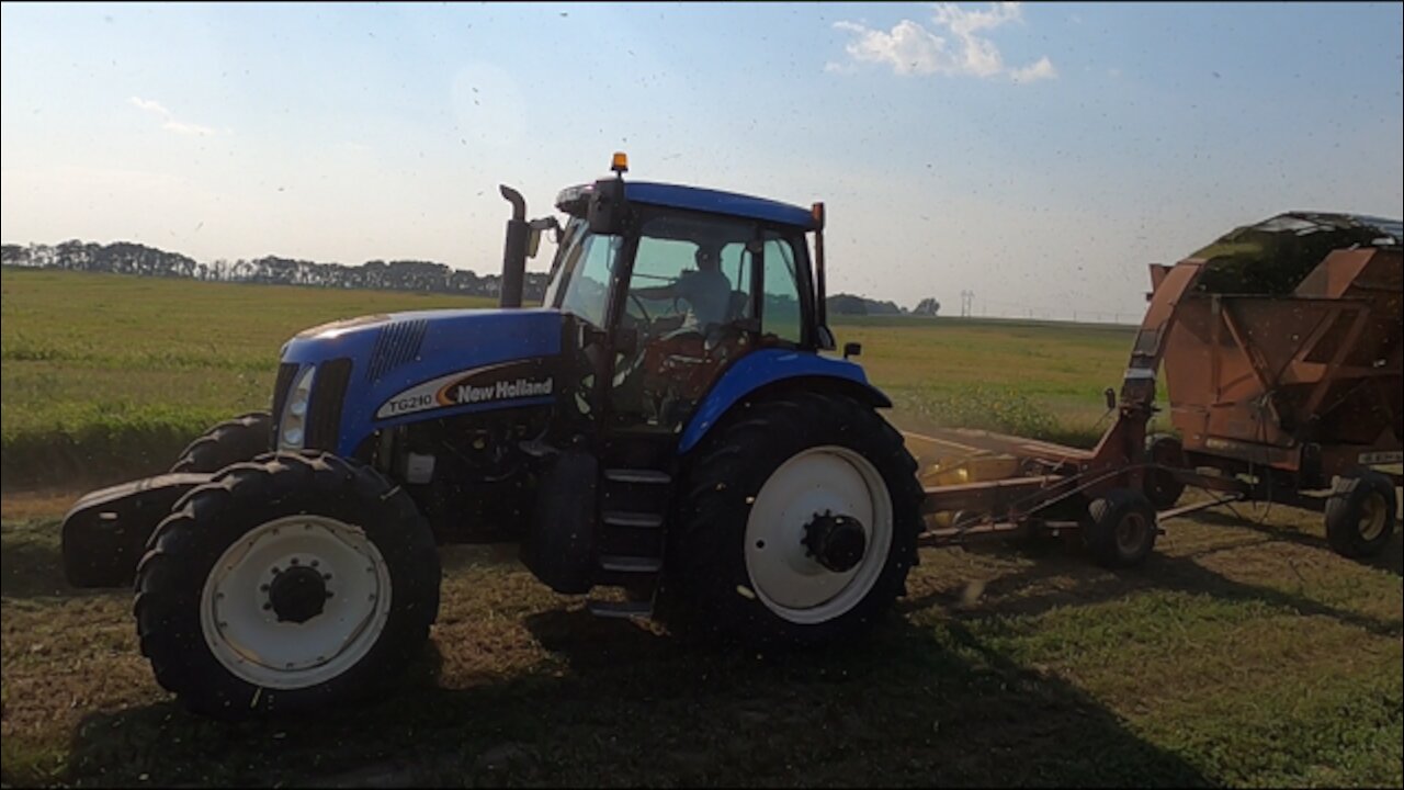Chopping 2nd Cut Hay - Alternator Install On Ford 6000 and Crop Tour!