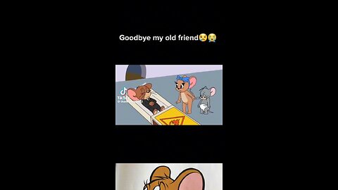 Tom and Jerry ❤️