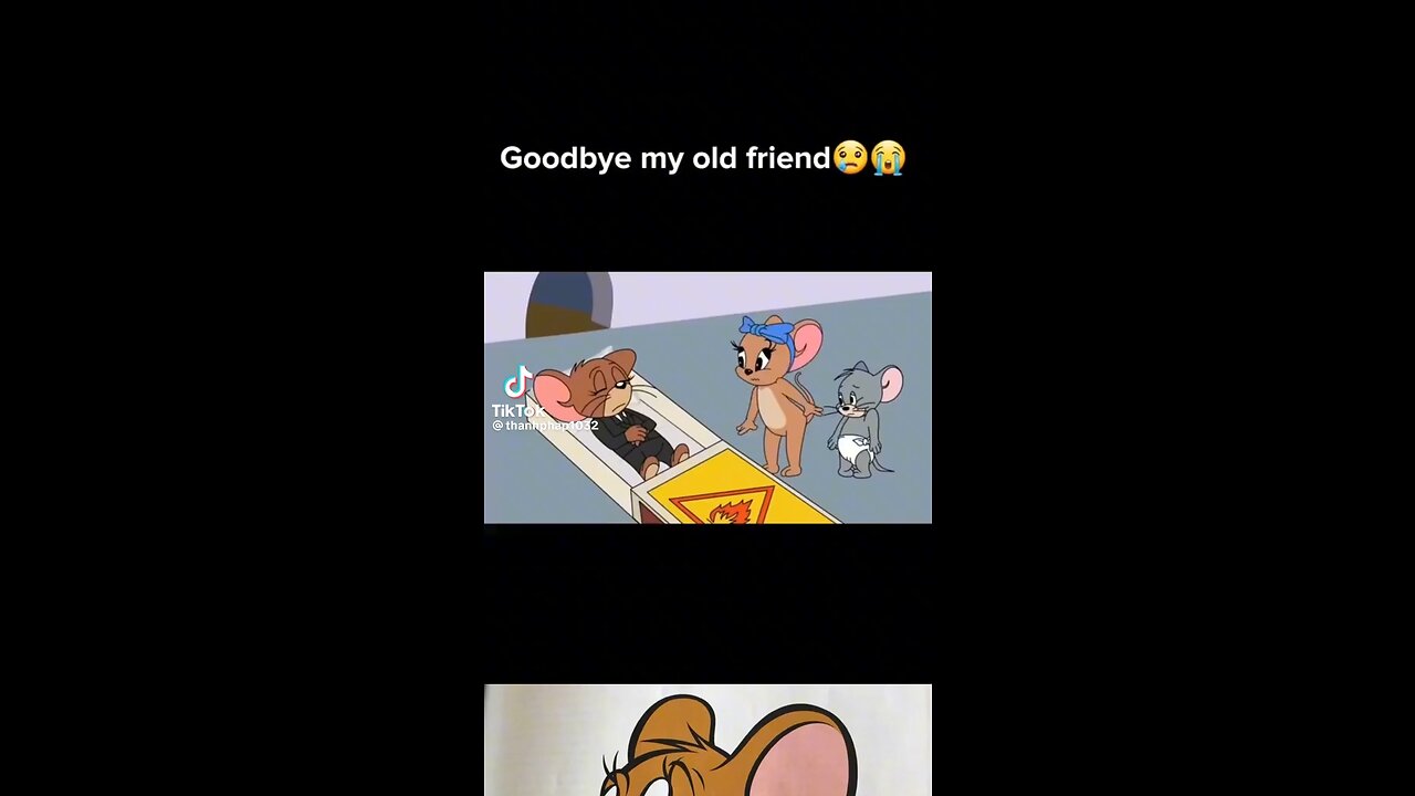 Tom and Jerry ❤️