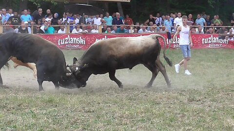 Peran od Šahbazovića vs Zećo od Škaljo Stražbenica 2024