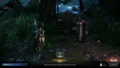 Lost Ark MMORPG A Mystery Attack