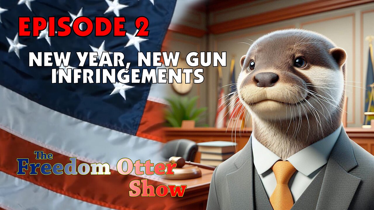 Episode 2 : New Year, New Gun Infringements