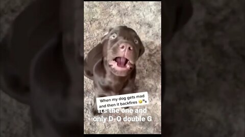 MEME is the one and only D-O double G #shorts