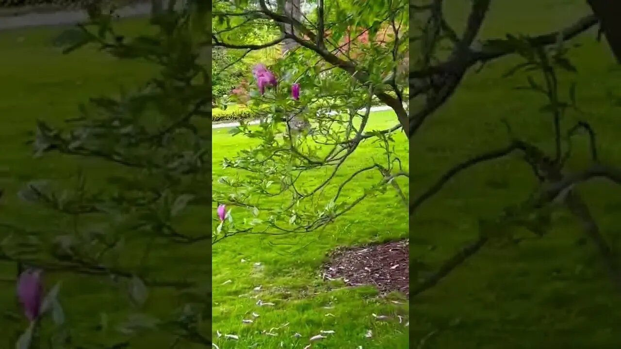 Admiring some flowers