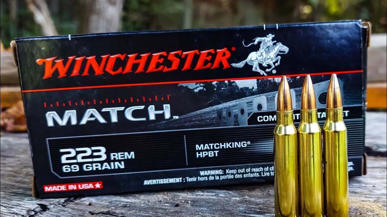 Winchester MATCH .223 | 100 Yard Test | Bolt-Action & Semi