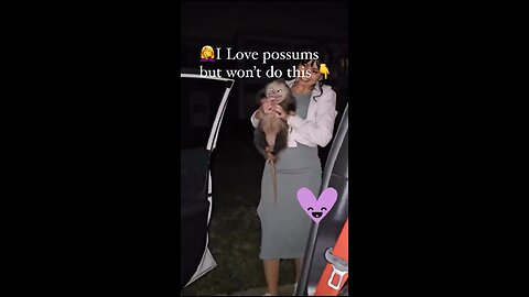 Possum