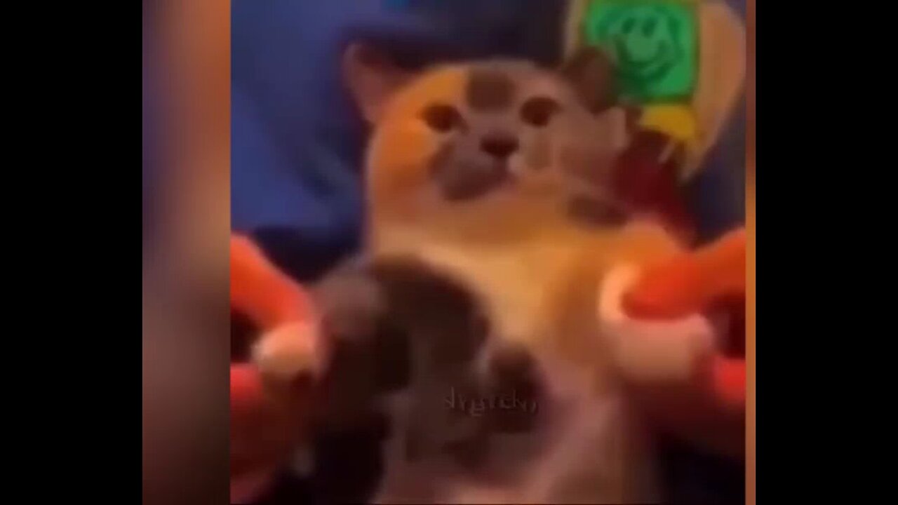 Try not to laugh#8