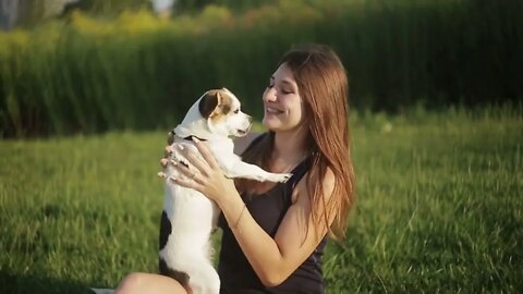 dog - scenic relaxation film with calming music