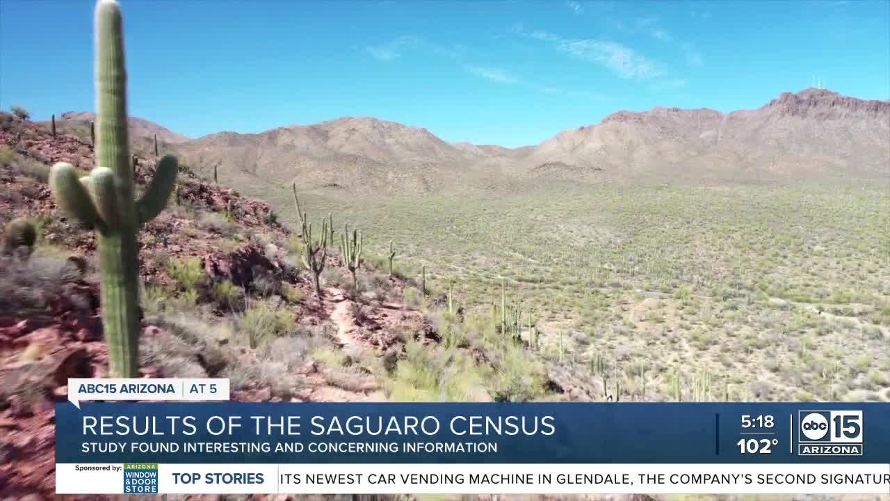 Results of the saguaro census study