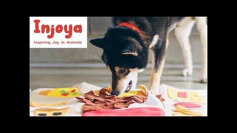 Interview with Jason Um of Injoya