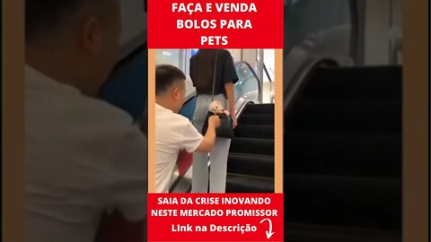 Pets engraçados #2 - Veja isso #shorts