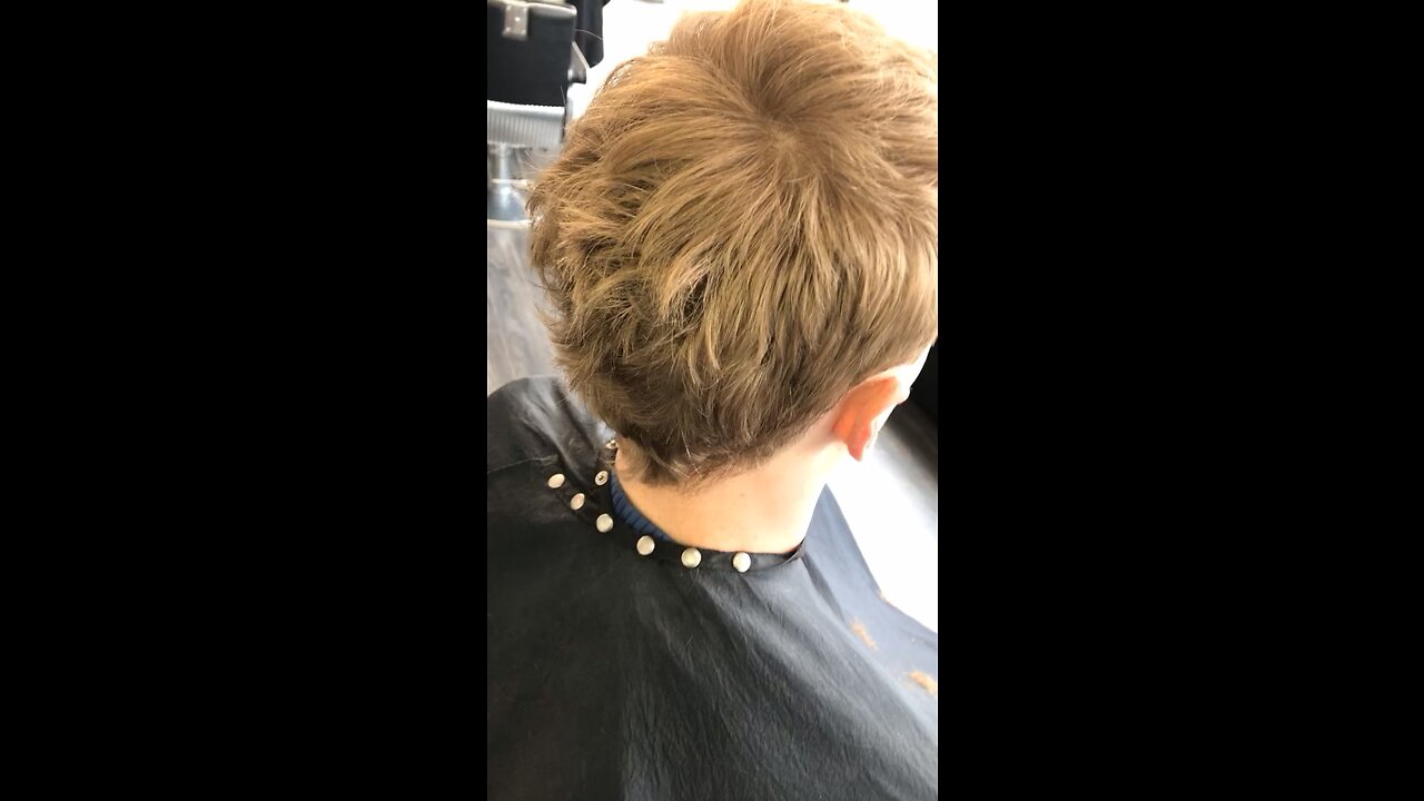 Mullet