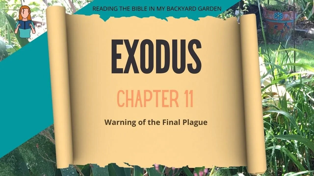 Exodus Chapter 11 | NRSV Bible Reading