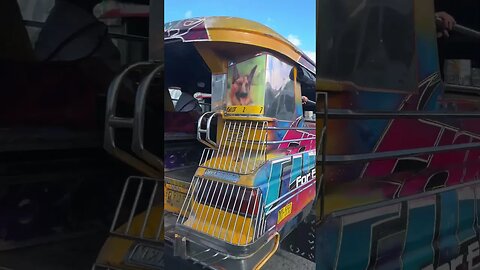 Jeepney just got fixed #viral #shortvideo #shortsvideo #subscribe #philippines ##shorts #short