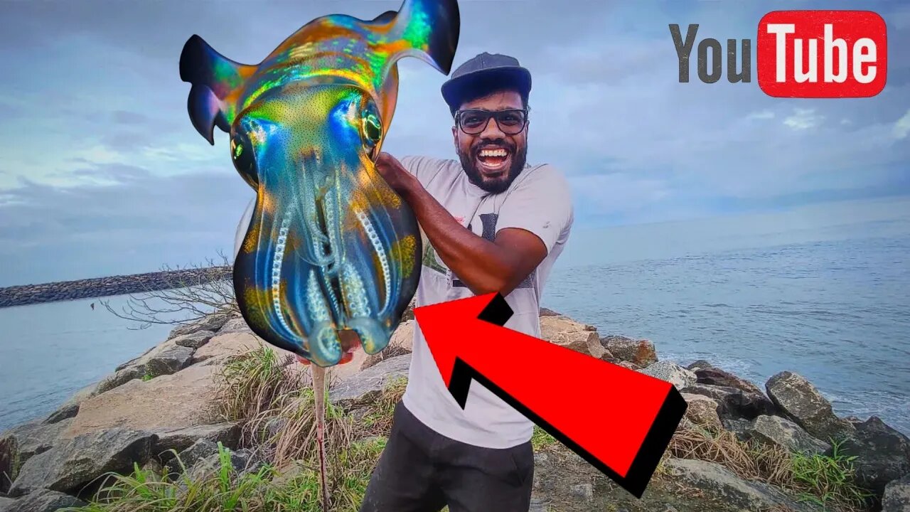 MOST VALUABLE VIDEO EVER, VILLAGE FISHERMEN CATCHING SQUIDS,OCTOPUS FISHES USING SWEET NET🔥🔥🔥🔥🔥🔥🔥🔥