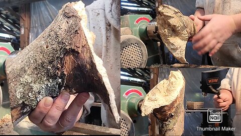 MAPLE--IS THIS JUNK OR TREASURE?