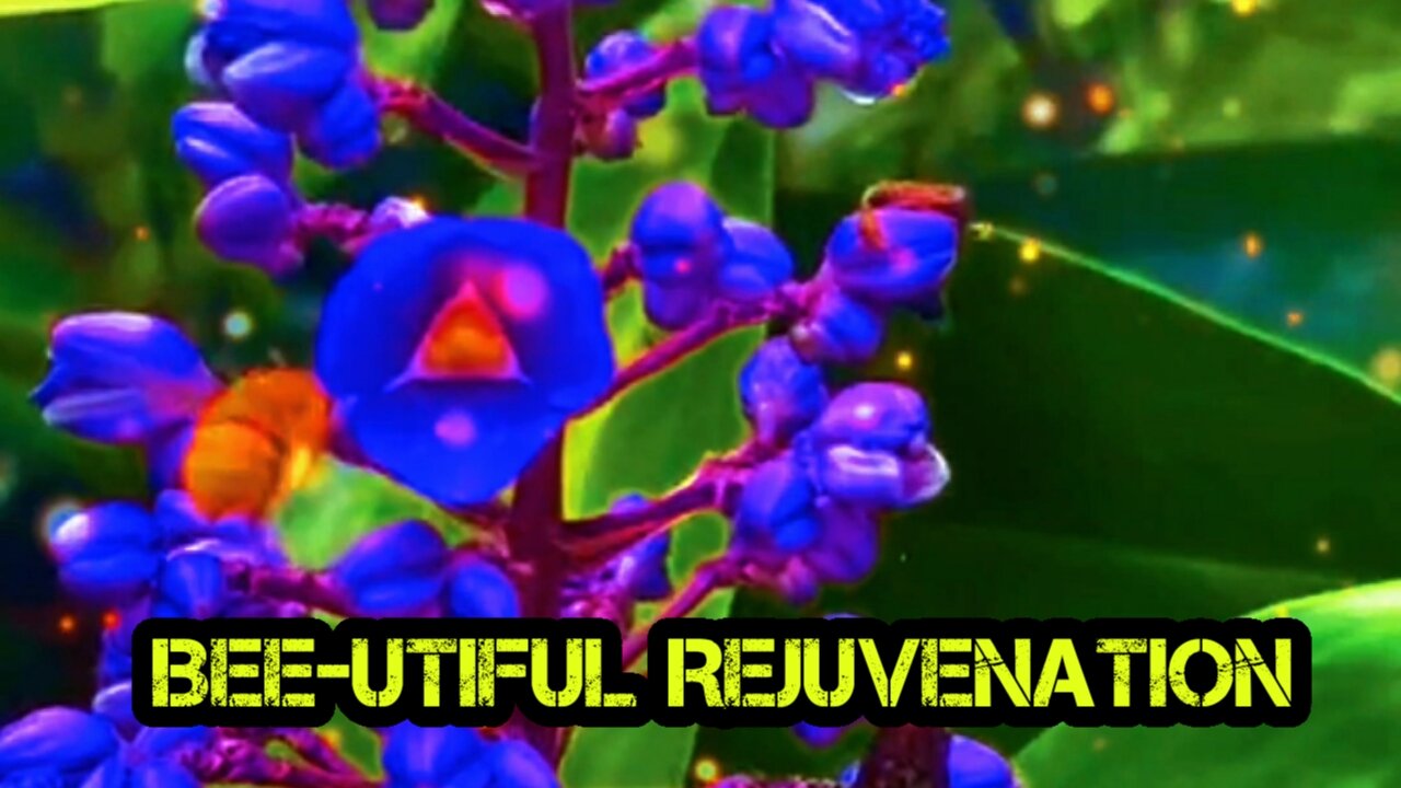 Bee-utiful Rejuvenation