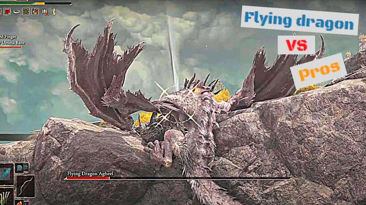 Flying Dragon vs Pros Elden Ring