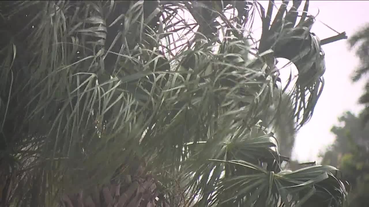 Heavy winds closed bridges and left homes picked apart in Port Charlotte