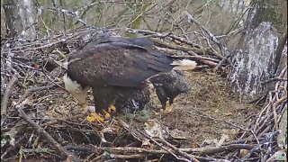 Hays Bald Eagles H18 stands after PS 4.21.22 10:28:50