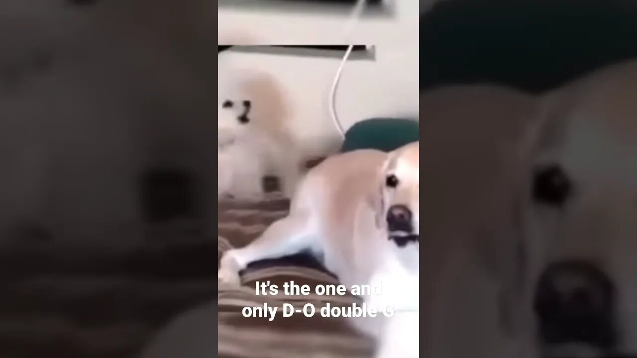 MEME is the one and only D-O double G #shorts