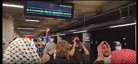 New York City has a left wing problem and they’re masquerading as human rights activists