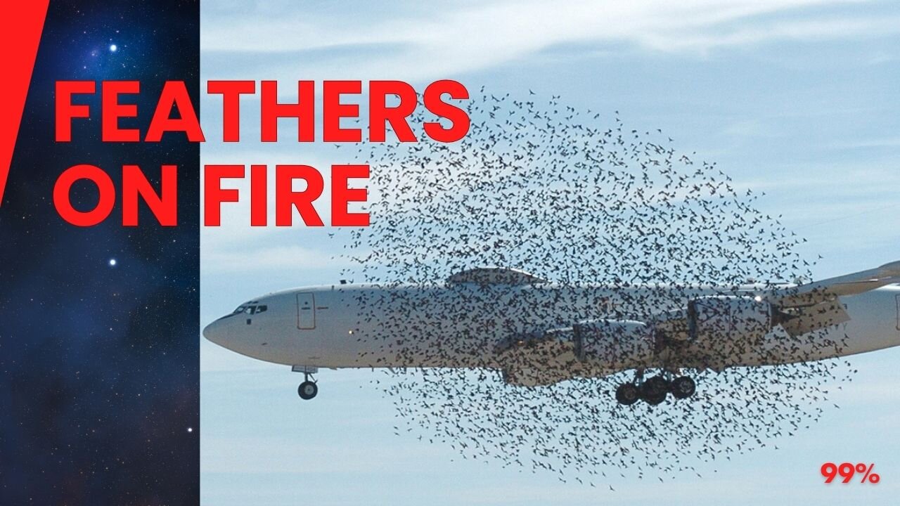 KLM A330's Terrifying Emergency Landing After Double Bird Strike