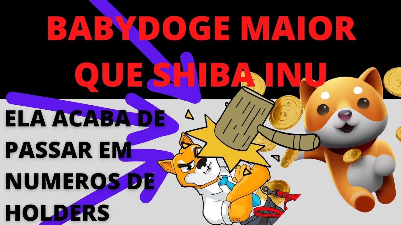 #Babydogecoin tornou-se maior que #Shibainucoin - 86