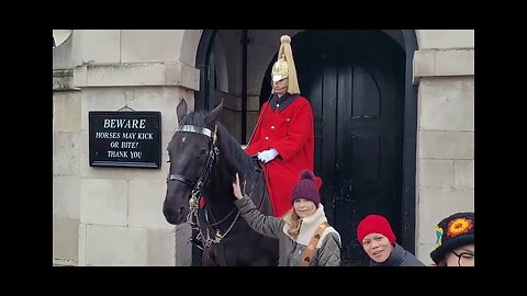 3 times the tourist runs from the kings guards #horseguardsparade