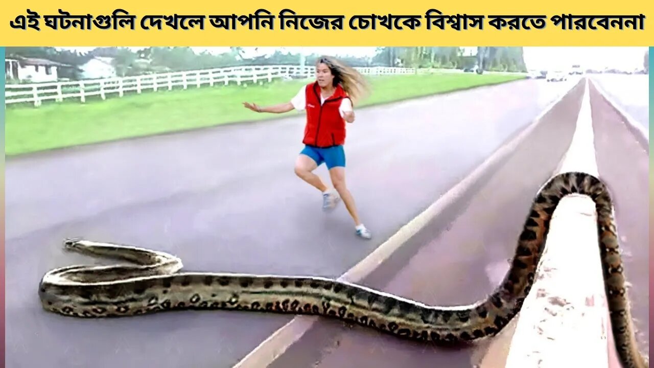 ২০ টি ভয়ংকর প্রানীর মুখোমুখি যা আপনার দেখা উচিত।