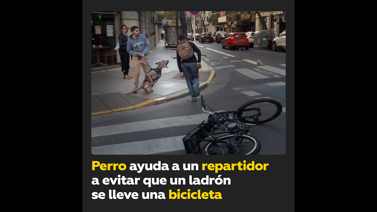 Repartidor argentino junto a un perro impiden el robo de una bicicleta